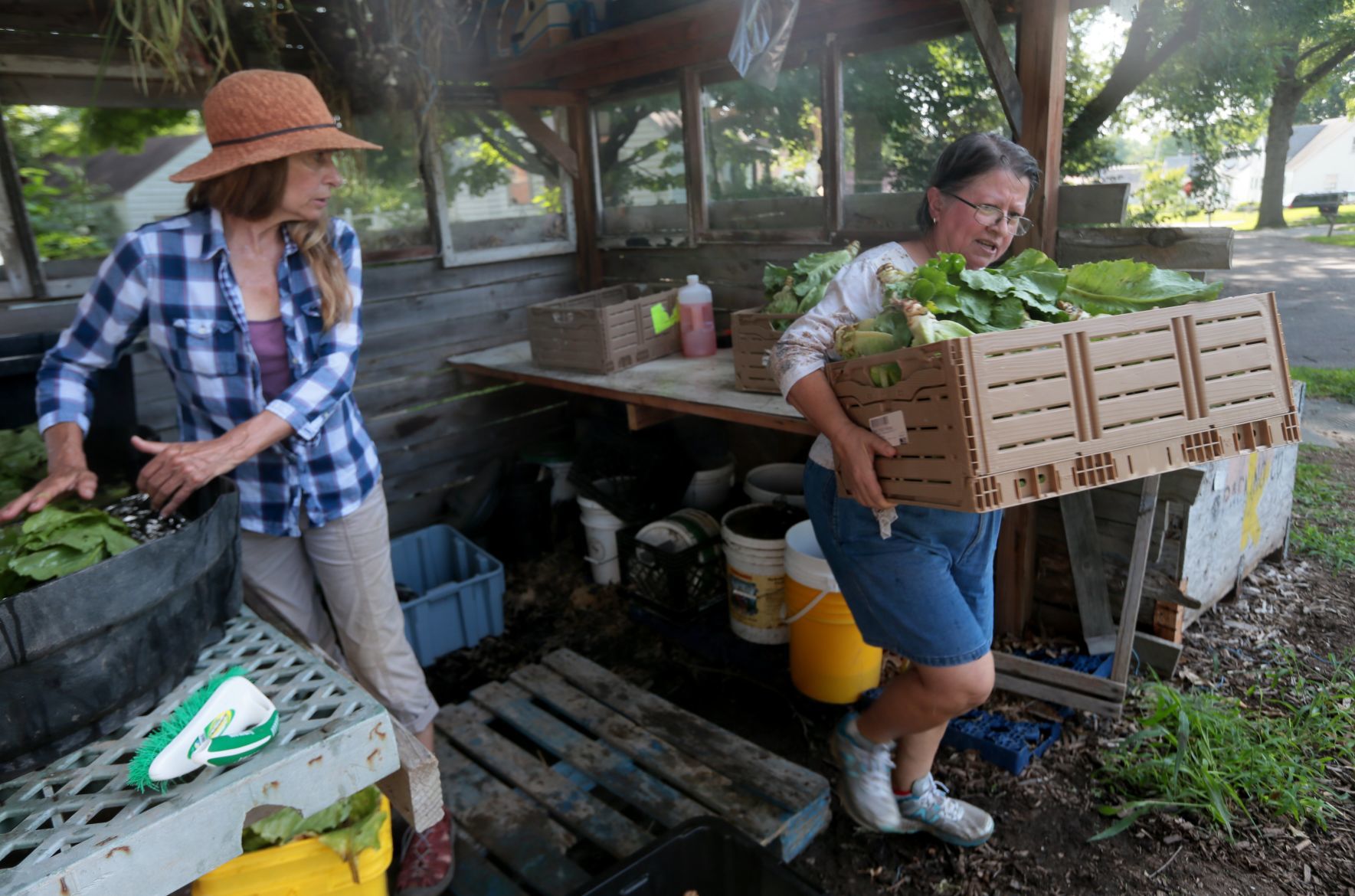 Seeds of Hope Farm in Spanish Lake offers income-tiered CSA shares